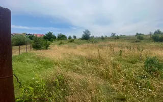 Teren Intravilan de vanzare 3778 mp Branesti Strada Violetelor - Poză 14