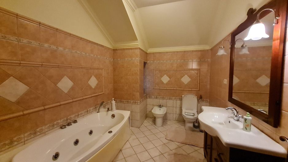 Poziție de top în Dumbravita - Poză 13