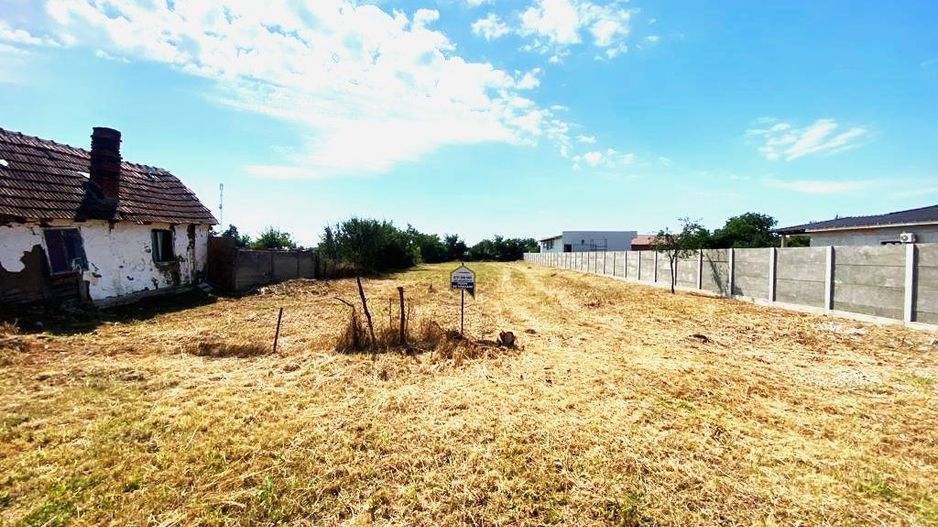 Terenuri de vânzare Costeiu - Poză 1