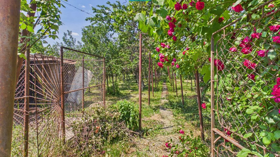 CASĂ INDIVIDUALĂ PÂRNEAVA TEREN GENEROS 846 MP - Poză 6