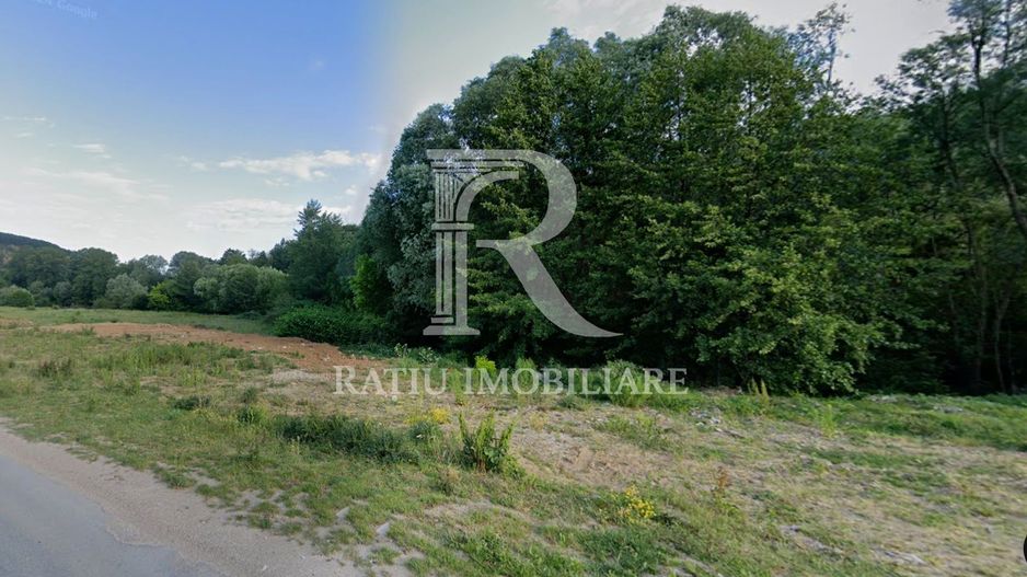 Teren Extravilan de vânzare | Șoimi | Bihor - Poză 1