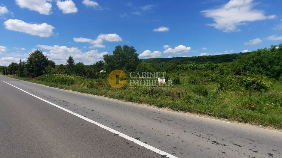 🌳 🌞🌿 TEREN INTRAVILAN OSOI 2800 mp - 49.999 Euro ! 🌳🌞🌿 - Poză 2
