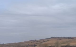 TEREN INTRAVILAN DE VANZARE PALEU - Poză 4