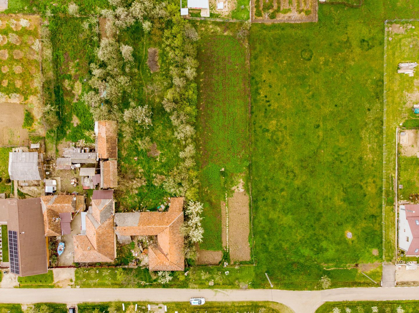 Teren de 1316mp în Frumușeni. - Poză 6