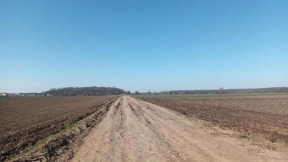 Teren de vanzare, Ordoreanu, Ferma de Struti, pret discutabil - Poză 1