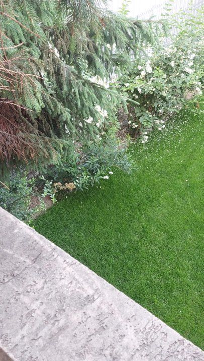 Casa Titulescu cu parcare privata -posibilitate extindere curte pana la 500 mp - Poză 2