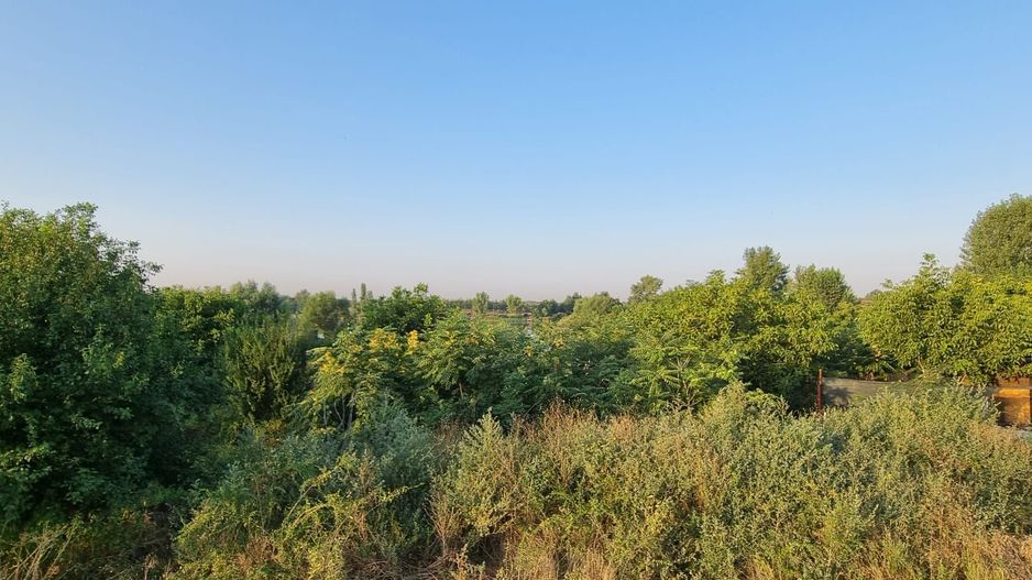 Teren cu Vedre Lac - Poză 5