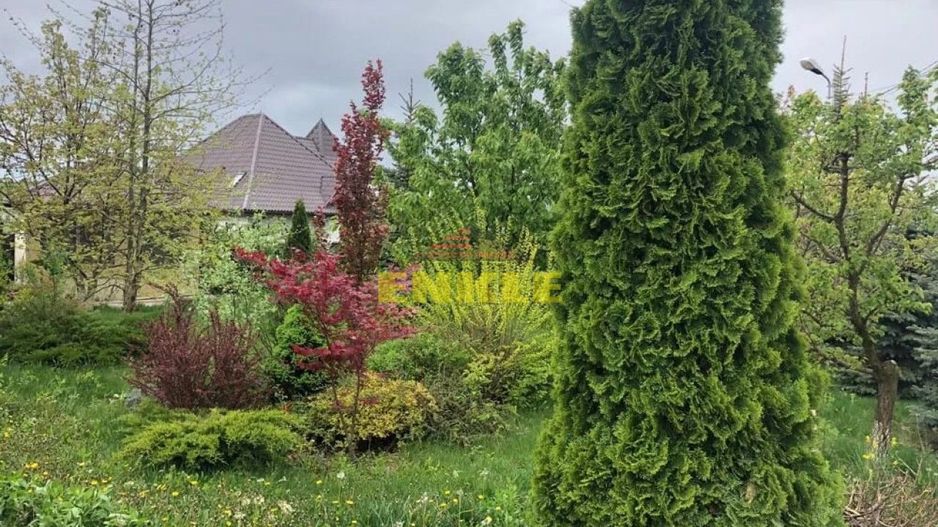 Vila 5 camere, Lebada - Poză 6