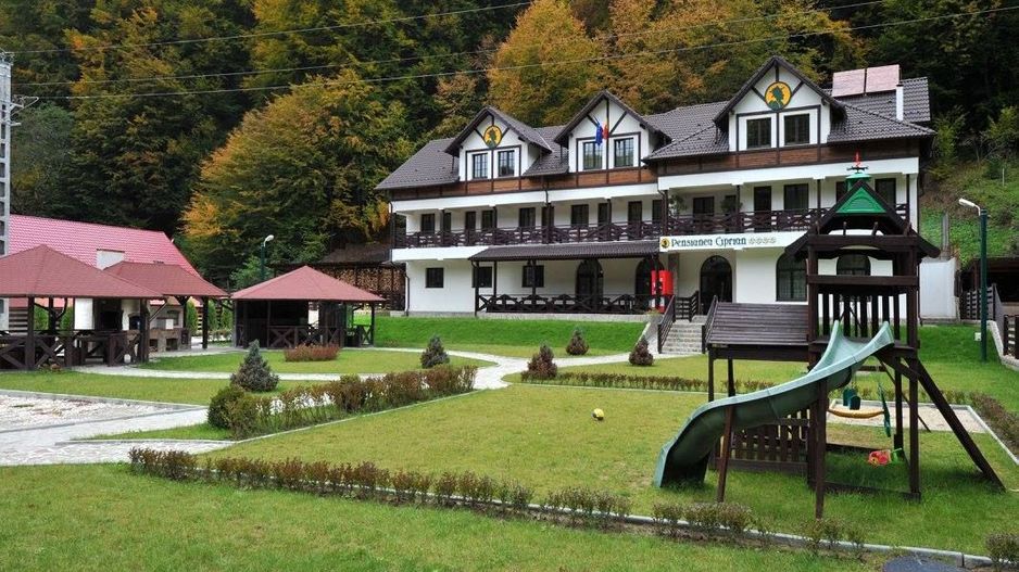 Pensiune de Vânzare în Brădetu – Acces la Apă Sulfuroasă, Vedere rau si munte - Poză 3