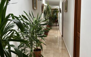 Vila Superba 5 Camere ROSETTI - Poză 12
