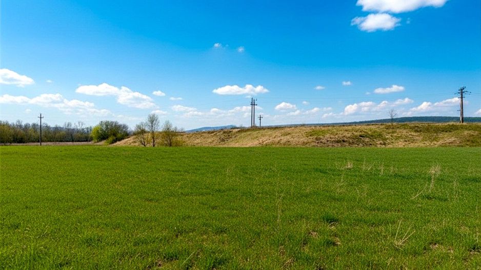 Teren 12.400 MP | 180 ml deschidere E85 | Pătrăuți | 70.000€ - Poză 2