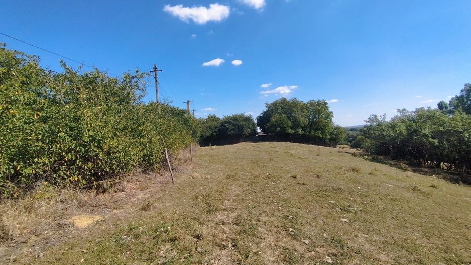 Teren intravilan | Mănăstioara – Siret | 2.200 mp - Poză 3