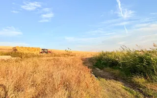 Teren Daia 75000 mp cu balta 30000 mp izvoare - Poză 12