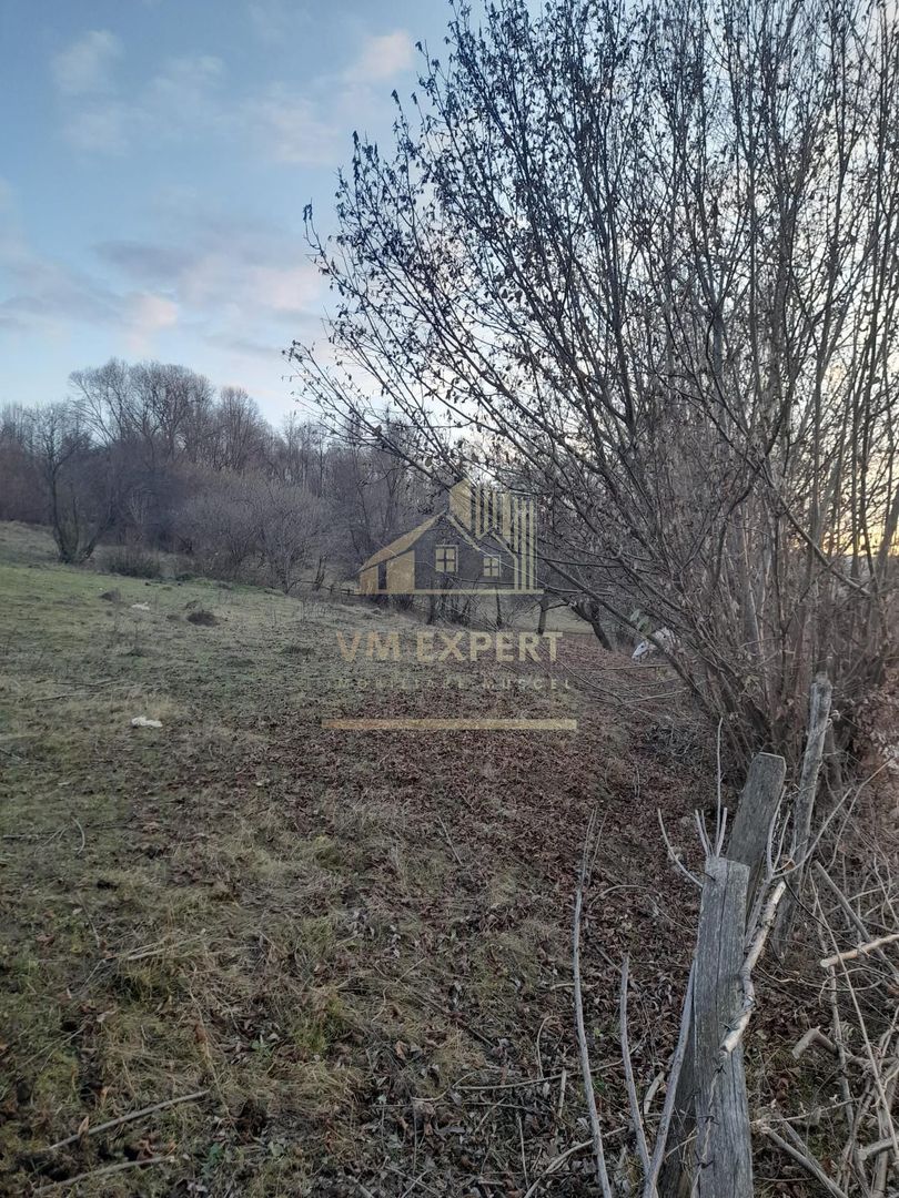 TEREN INTRAVILAN 5461 MP, BUGHEA DE JOS, ARGES - Poză 5