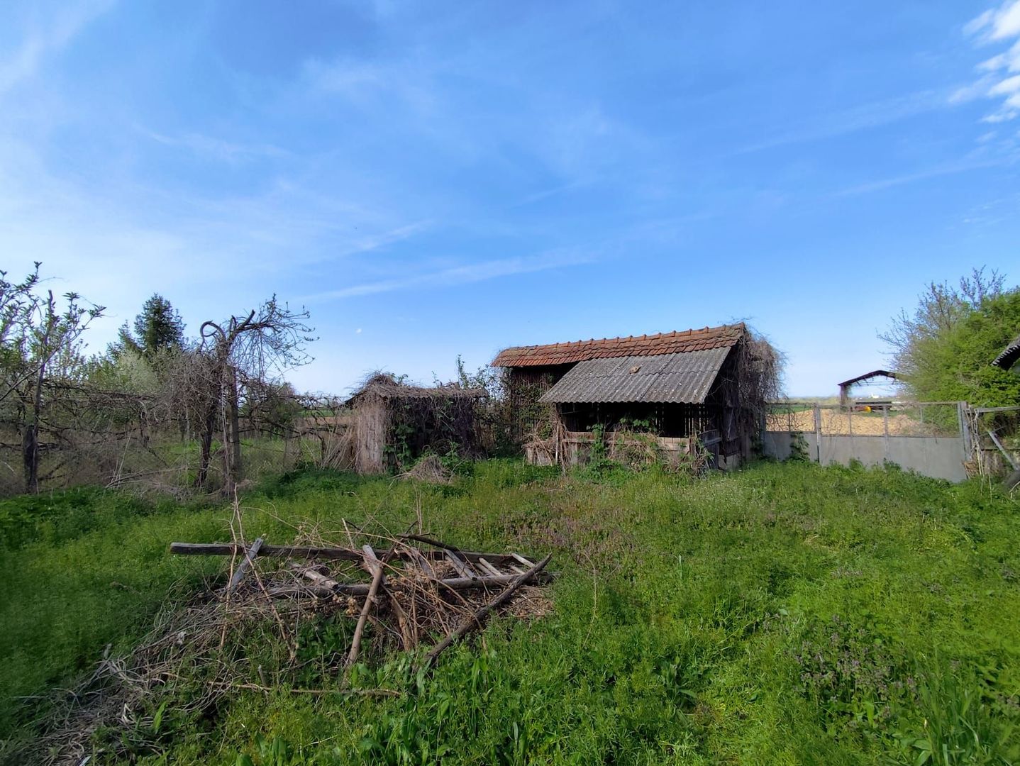 Casa la tara, gaz, acces auto, teren 4122 mp – Petid, Bihor – VANZARE - Poză 14
