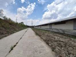 Proprietate industrială-depozitare cu cale ferată în Comuna Isalnita, jud. Dolj - Poză 17