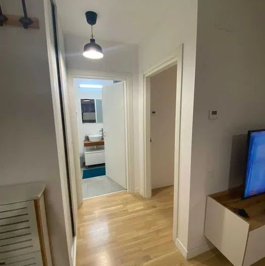 Apartament luminos Domenii - Poză 6