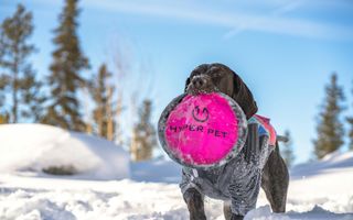Bran - Casa pe strada Valea Portii. 223 mp, 4 dormitoare - Poză 7