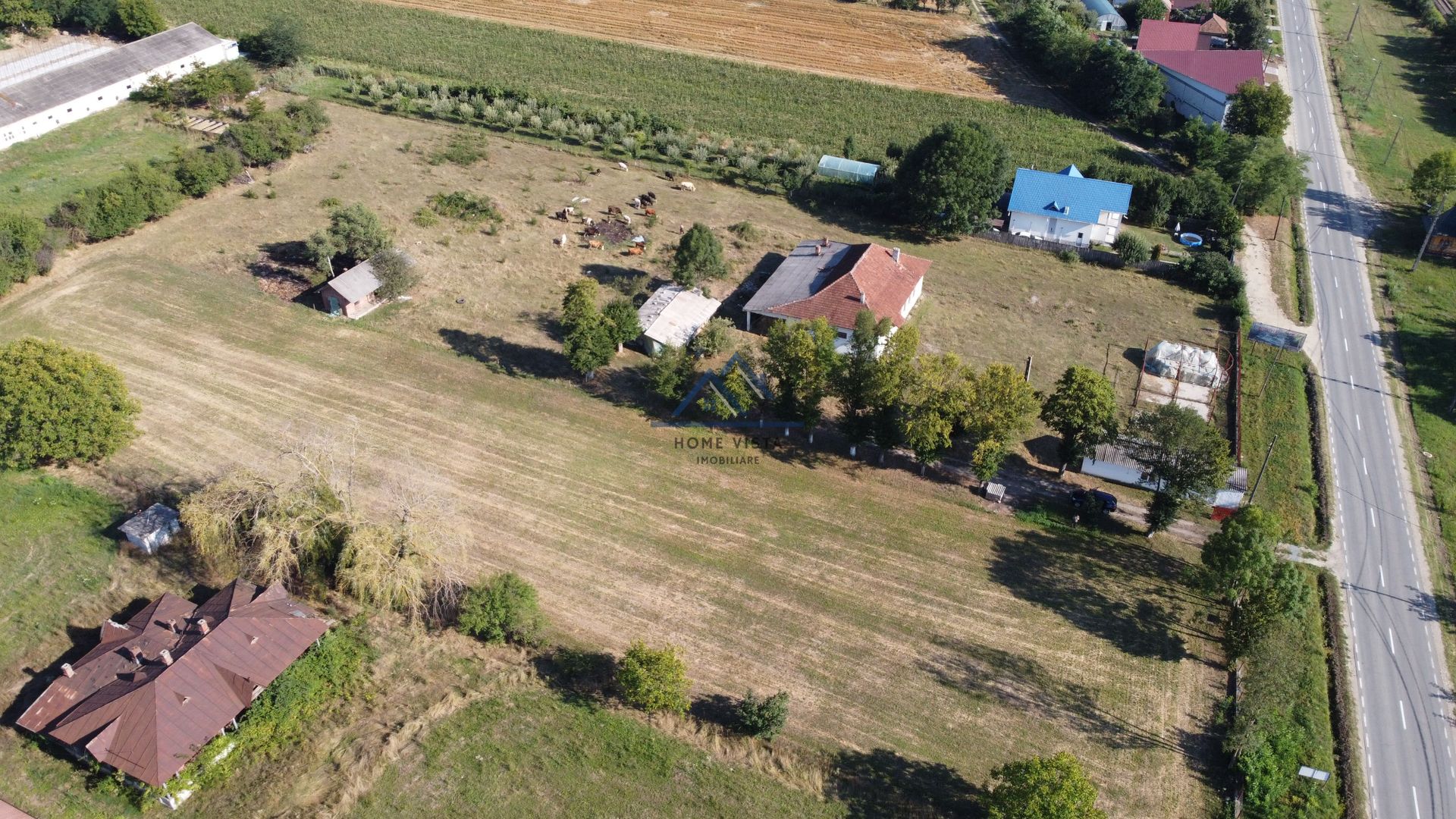 Teren intravilan de 10 614 mp cu deschidere de 59 m – Baiculesti (Comision 0%) - Poză 5