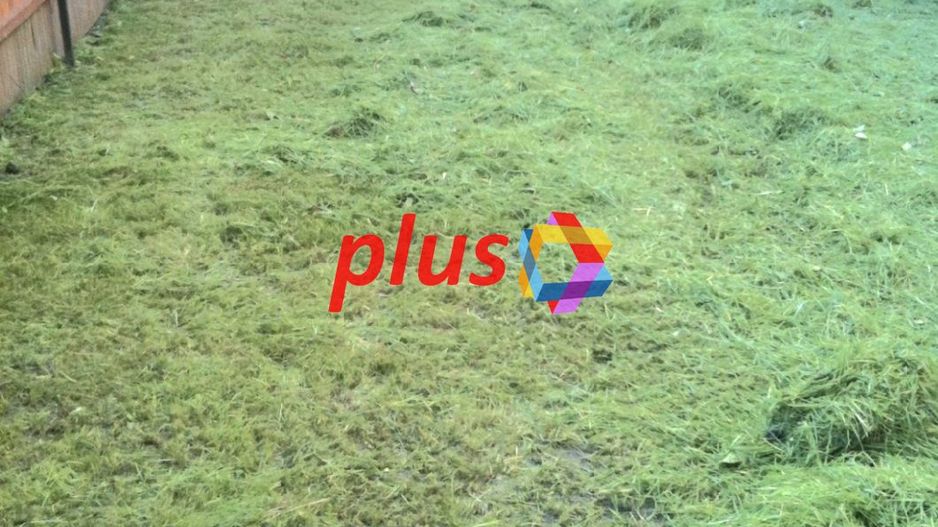 Spatiu de birouri - 450 mp # plus-imo.ro - Poză 4