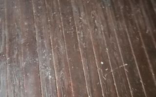 Casa "TEBO",  pozitie facila, perspectiva de renovare/dezvoltare - Poză 6