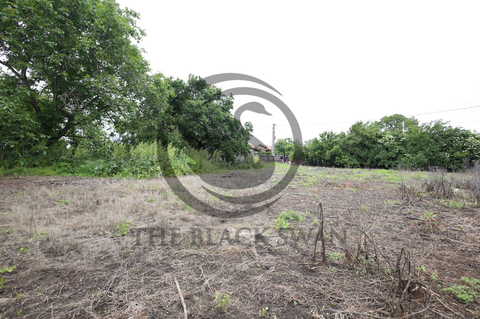 Teren + casa de vanzare | 4734 mp, deschidere 38ml| Zalhanaua, Prahova - Poză 10