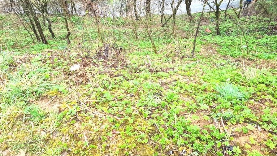 Teren intravilan1291 mp Schei Str Nisipului iesire la Drumul Poienii - Poză 5