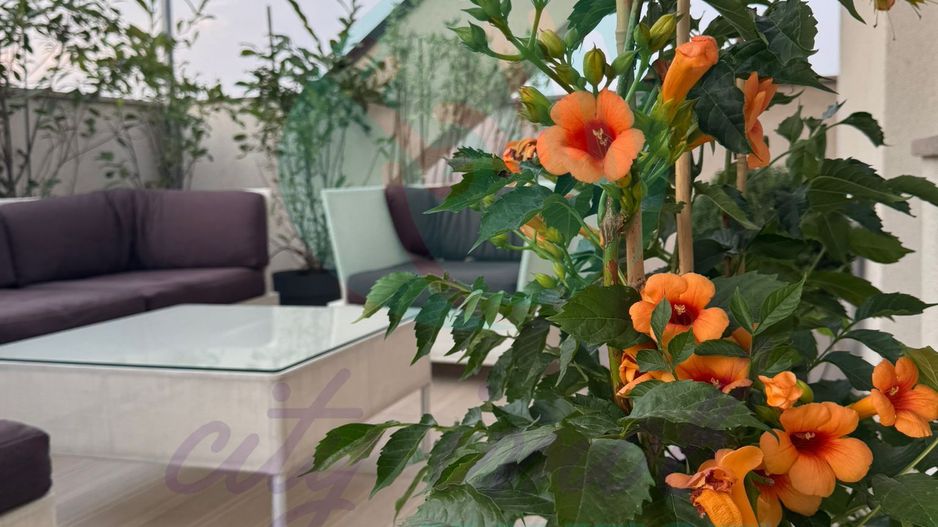 Apartament cu 3 camere si TERASA SPECTACULOASA DE 57 MP - Poză 2