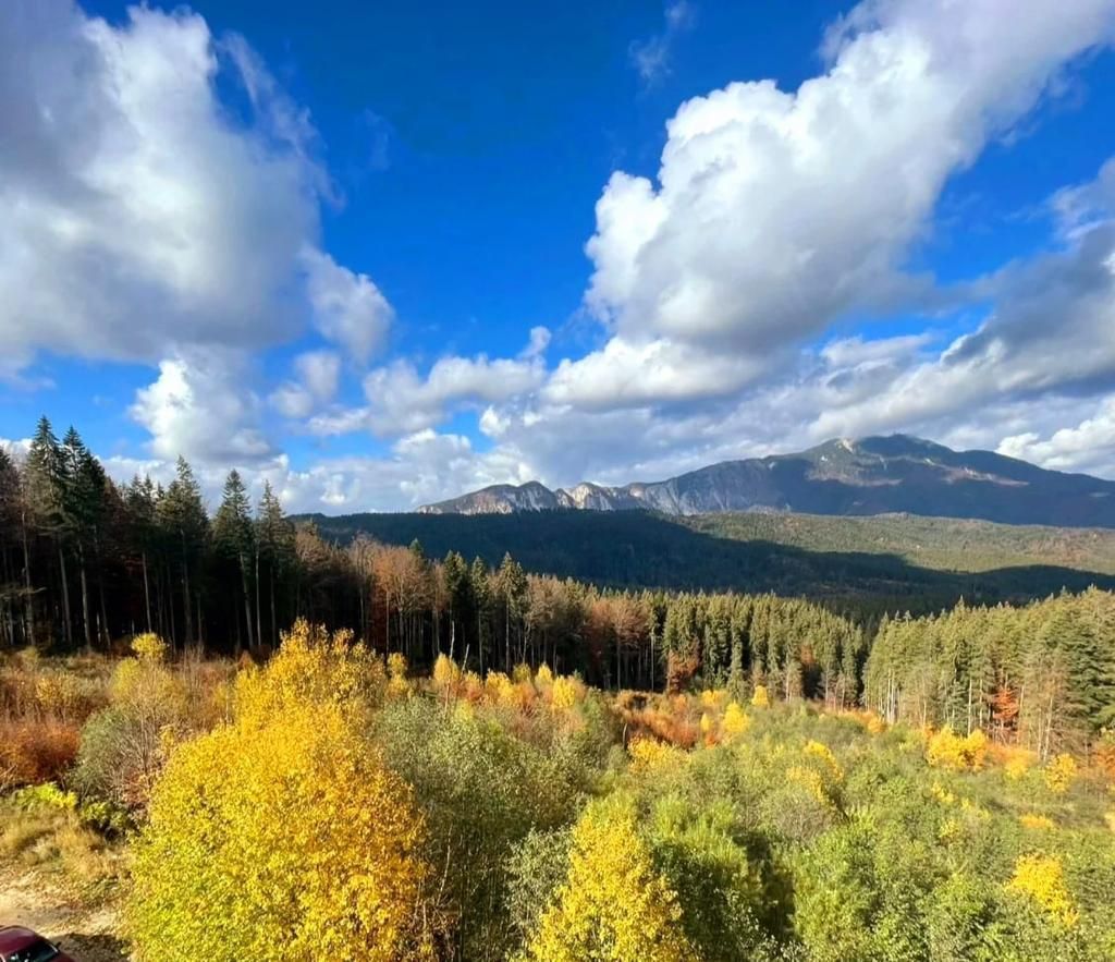 Aparthotel cu view superb Valea Prahovei - Poză 3