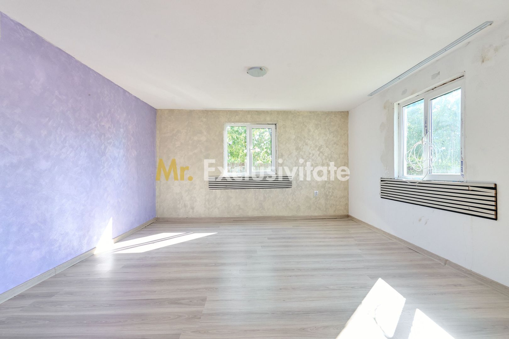Casa + 3105 mp teren intravilan  comuna Uda - Poză 9