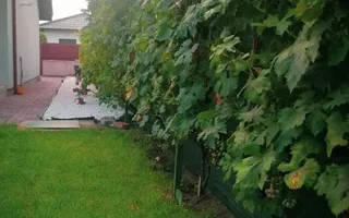 Casa cu garaj in Dumbravita - Poză 12