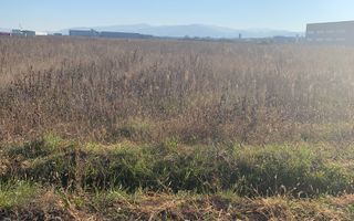 TEREN INTRAVILAN - ZONA INDUSTRIALA VEST-9000 mp, sau 18000 mp - Poză 6