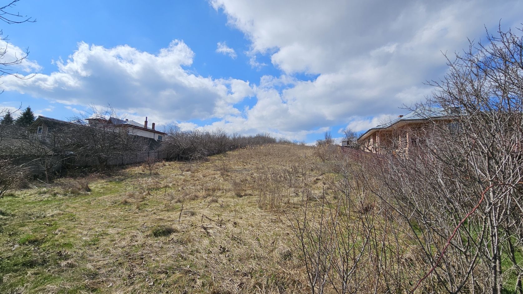 INVESTIȚIE - Teren 10.000 mp, intravilan + extravilan, str. CASTANILOR; - Poză 1