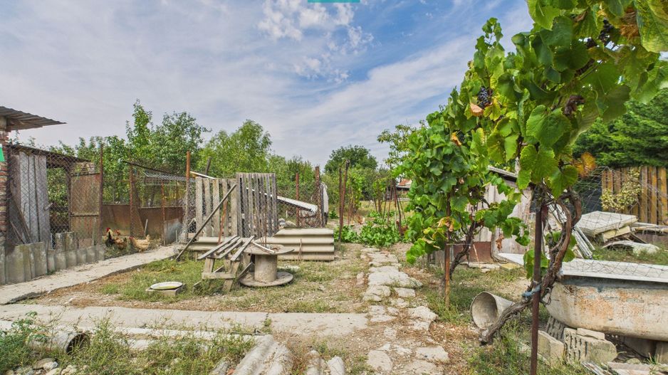 Casă individuală în Săcălaz - 2063 mp teren - Poză 28