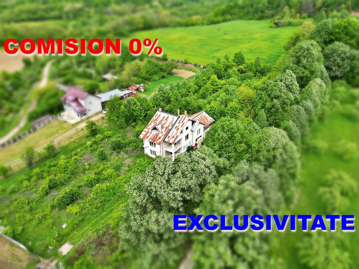 AZURA Imobiliare - Budeasa, Teren 5.069 mp, Casa BONUS - Poză 1
