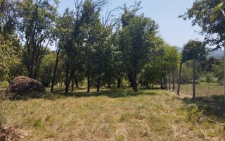 Teren intravilan 2828 mp+autorizatie casa-anexe-livada-Dorolea - Poză 1