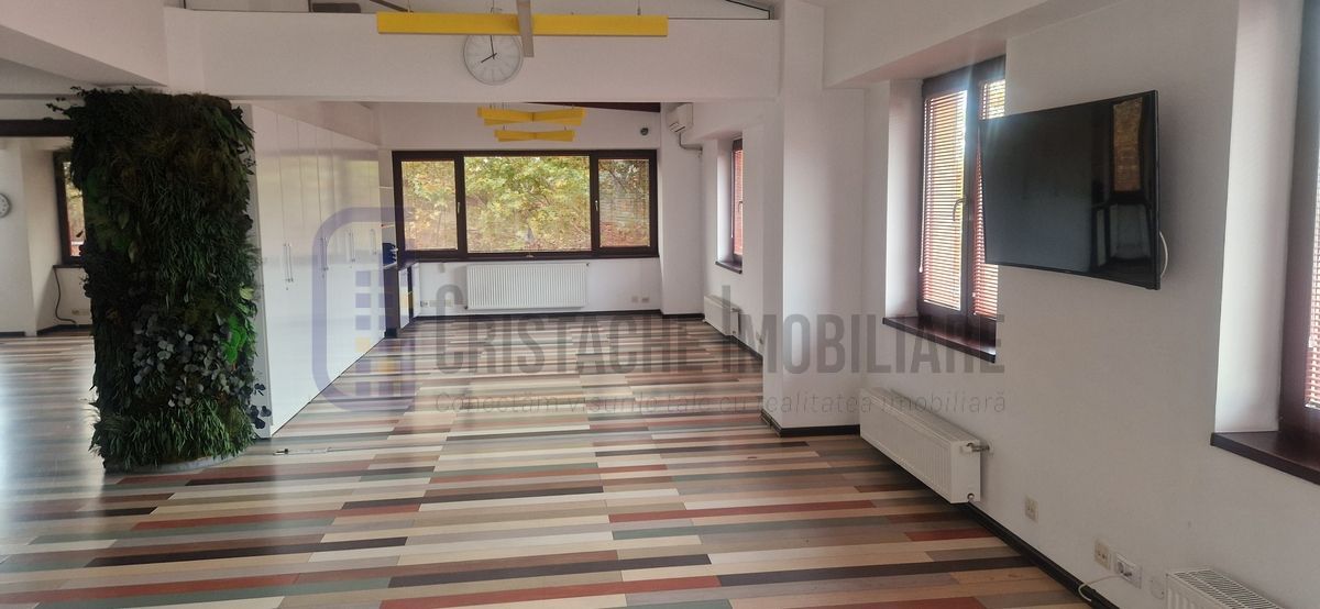 Vila P+2, suprafata 380 mp, Principatele Unite, Piata Unirii - Poză 10