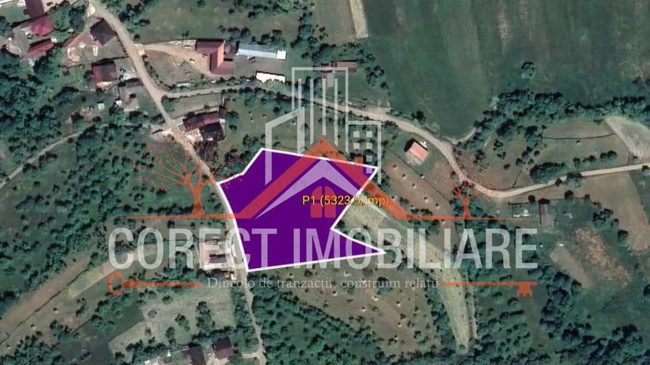 🌿 Teren de vânzare – Josenii Bargului - intravilan - Poză 1