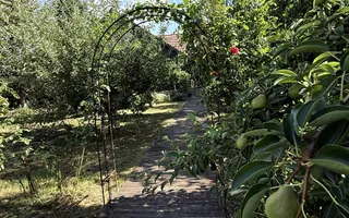 Casa autentixa maramureseana de vanzare in Snagov-Tancabesti - Poză 12
