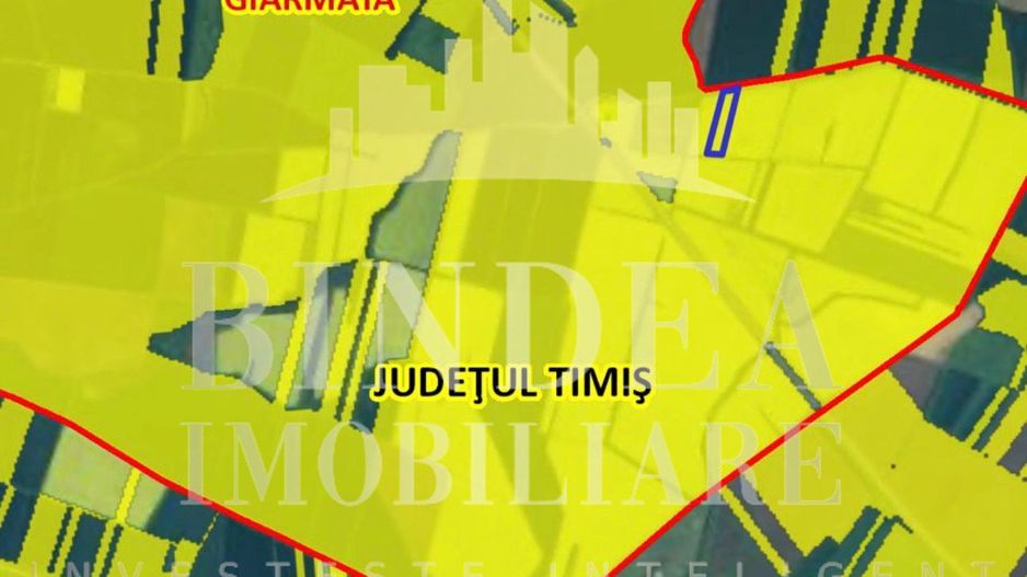 Teren arabil 20550 mp in Giarmata aproape autostrada A1 - Poză 2
