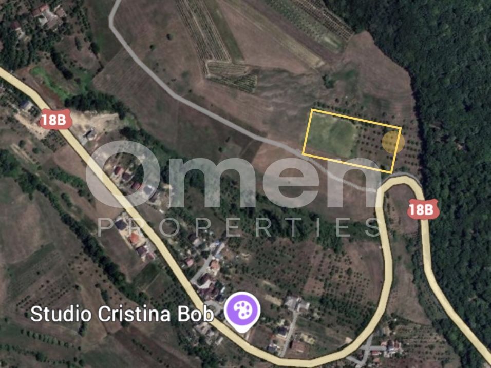 Teren intravilan de vânzare 7.000 mp – Groși, spre Dumbrăvița - Poză 3