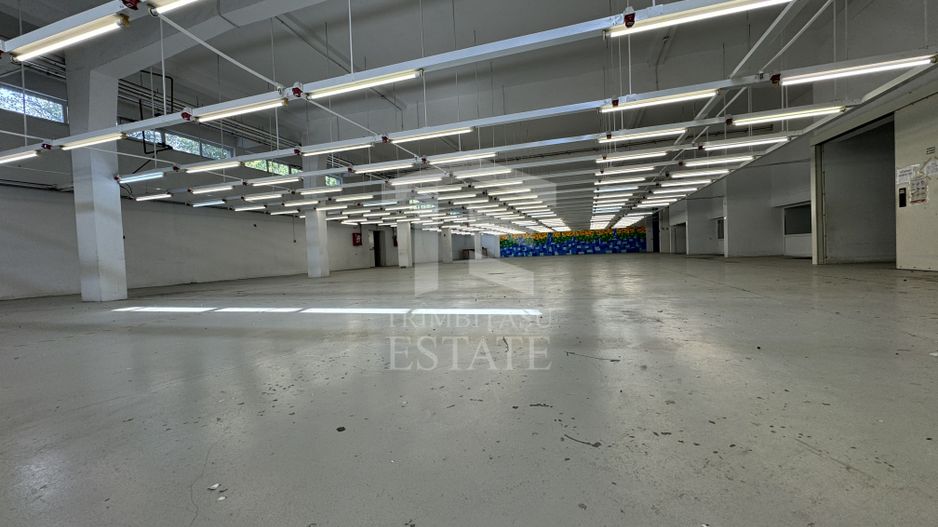 Hala productie P+1 si apartament de serviciu Navodari - c-tie beton - Poză 4