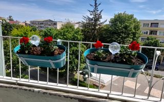 BRASADAS vinde ap 2 cam etaj 3/10 in zona CENTRALA. - Poză 3