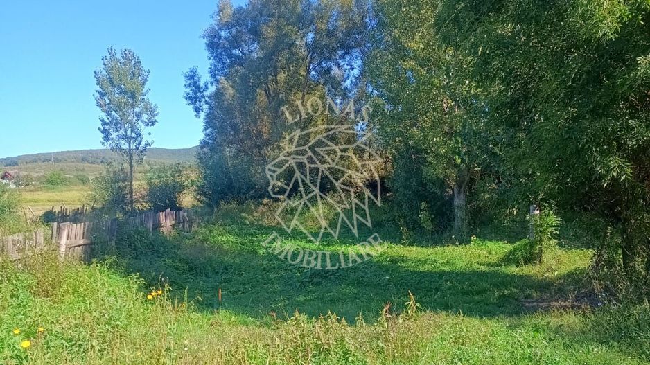 Casa la tara-teren 1521 mp+2 ha arabil-ideal casa Vacanta-Mintiu - Poză 10