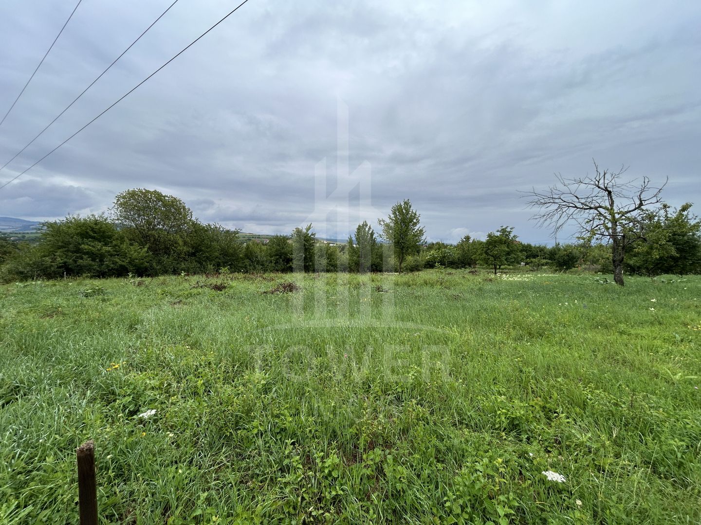 Teren intravilan de vânzare în Daia Nouă – 1.000 mp - Poză 3