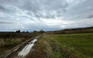 Teren extravilan | 3700 mp | Deschidere la DN | Intrare Vestem – Sibiu - Poză 4