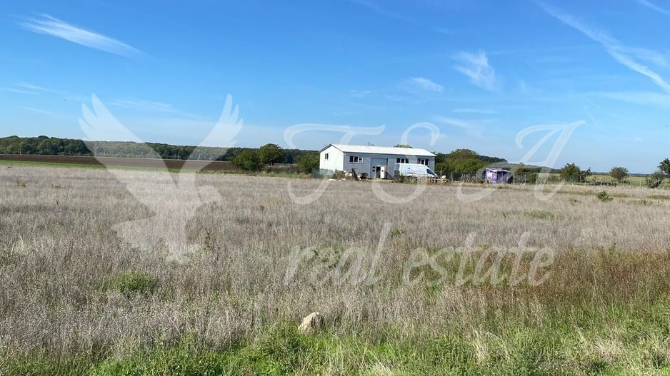 Teren Intravilan 825mp Cu dubla deschidere si Drum de servitute, Dascalu  Ilfov - Poză 9