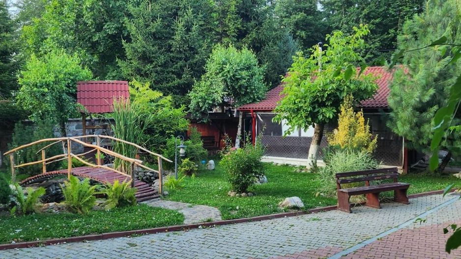 Vila Horezu Romanii de Jos - Poză 45