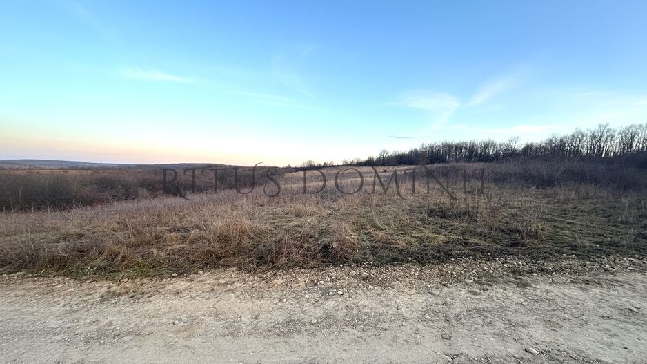 Teren Intravilan Parcelare, Lac Paleu, 8592mp, Deschidere 32ml - Poză 1