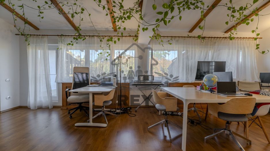 De Vânzare Vila Superba la liziera parcului Sub Arini - Poză 14